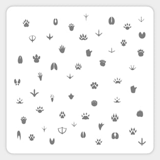 Paw prints (monochrome) Magnet